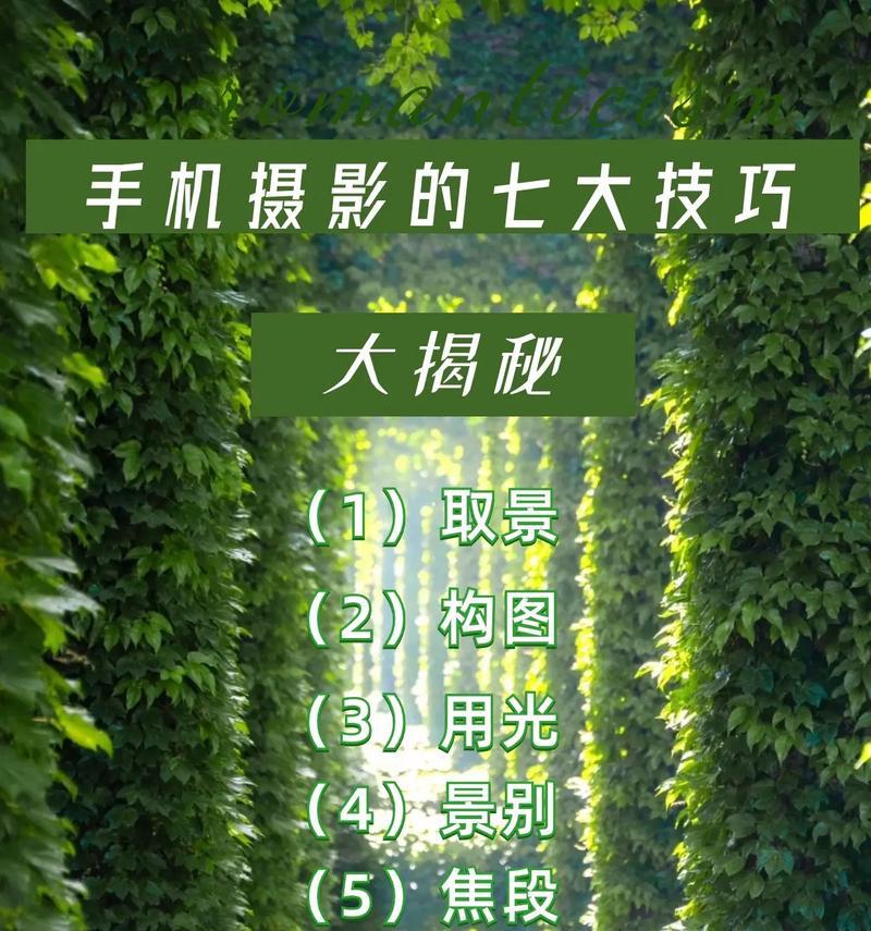 拍照手机连接电脑的操作步骤是什么？