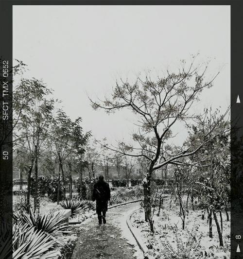 手机在雪中拍照后关机怎么办？如何快速恢复？