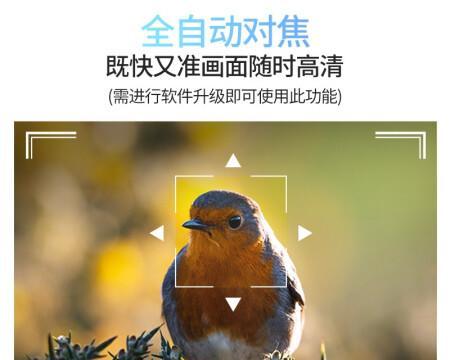 制作杯子投影仪需要哪些步骤？具体操作流程是什么？