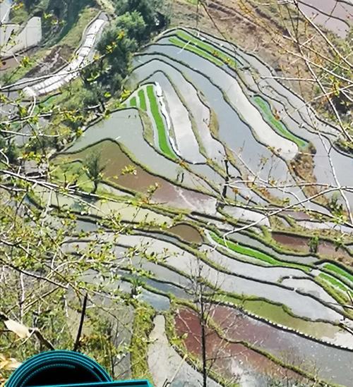 手机在旅游区拍照效果不佳怎么办？
