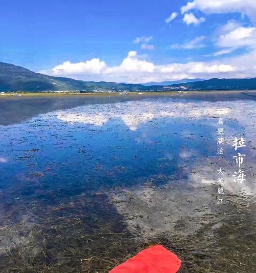 手机在旅游区拍照效果不佳怎么办？