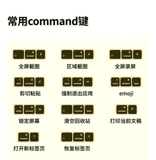 苹果笔记本粘贴复制快捷键是什么？操作方法如何？