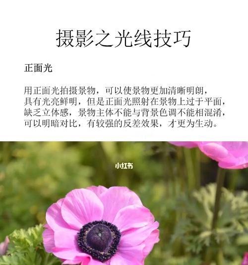 怎么调手机拍照光线暗？调整技巧和设置是什么？