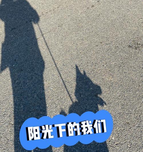 手机在阳光下拍照过黑是什么原因？
