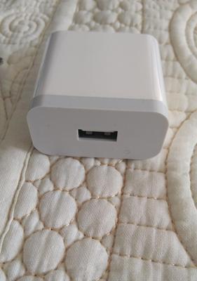 吉祥狮充电器是什么类型？用的什么充电器？