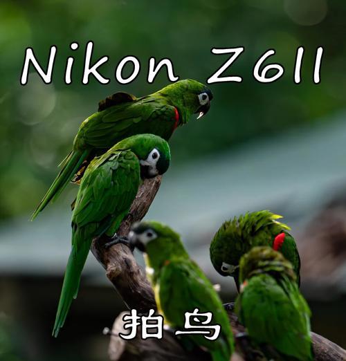相机无镜头时如何检查对焦功能？对焦问题的常见解决方法是什么？