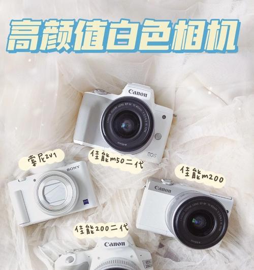 索尼相机屏幕出现两条杠如何解决？