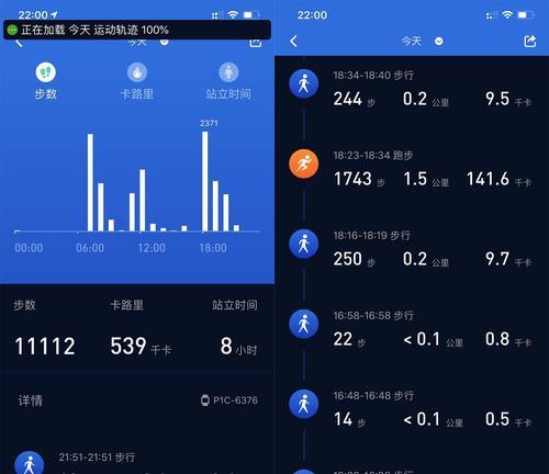 如何描述软件测试智能手表项目？