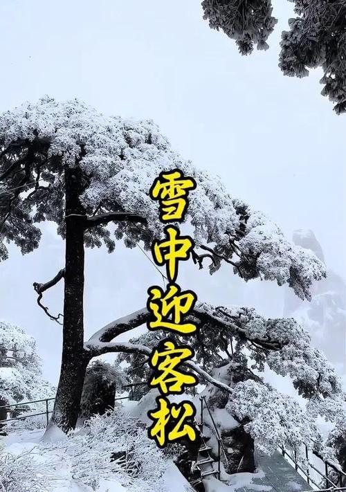 苹果手机拍摄雾凇雪景如何调色？有哪些技巧？