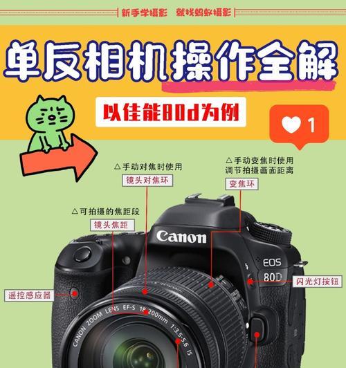 佳能单反相机怎么拍自己？自拍设置步骤是什么？