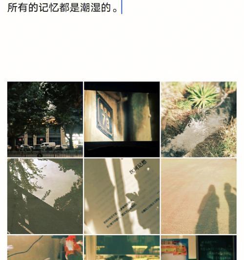 王家卫镜头相机使用方法是什么？如何调整参数？