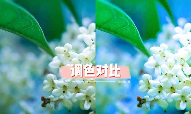 苹果手机如何调清透绿调？操作步骤是怎样的？