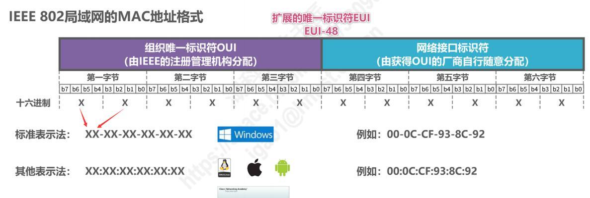 双网口共享网络设置方法？如何实现双网口网络共享？