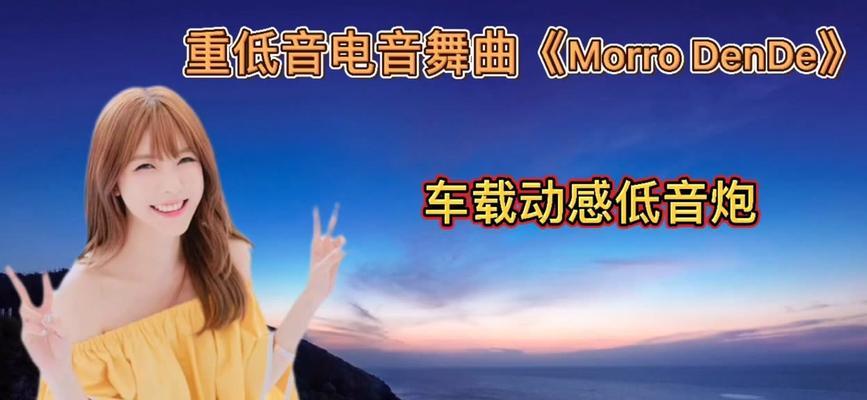 神曲中外国低音炮的名称是什么？