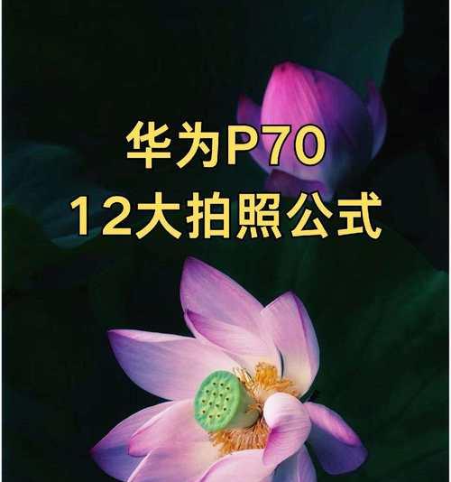 华为手机如何拍摄高质量照片？有哪些拍摄技巧？