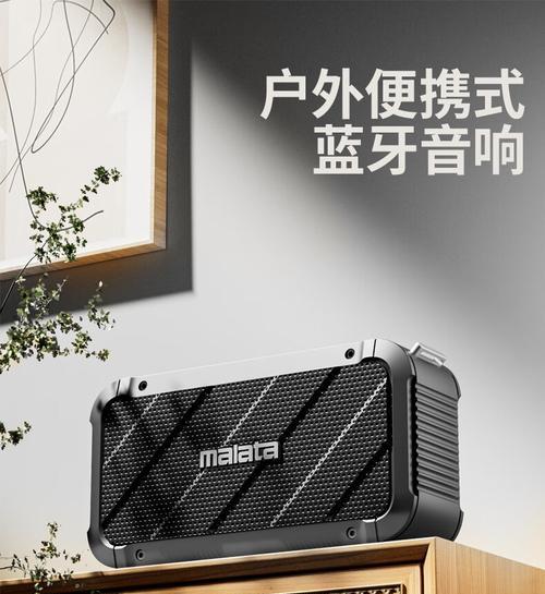 支持通话功能的低音炮名称是什么？