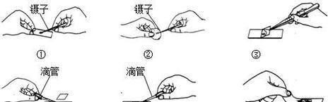 上碟片的电视机使用方法是什么？操作步骤和常见问题有哪些？