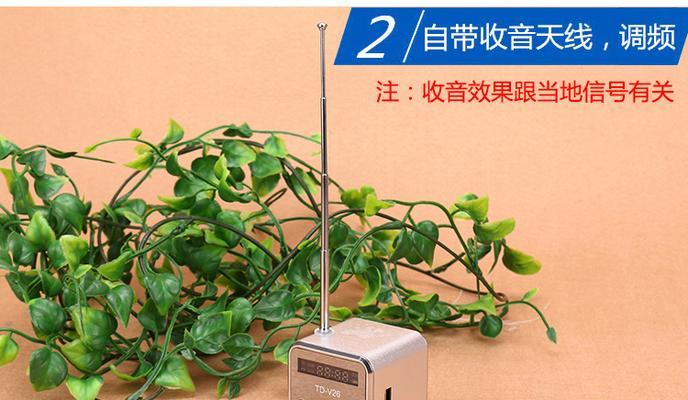 小一低音炮使用哪种类型的U盘？兼容性如何？